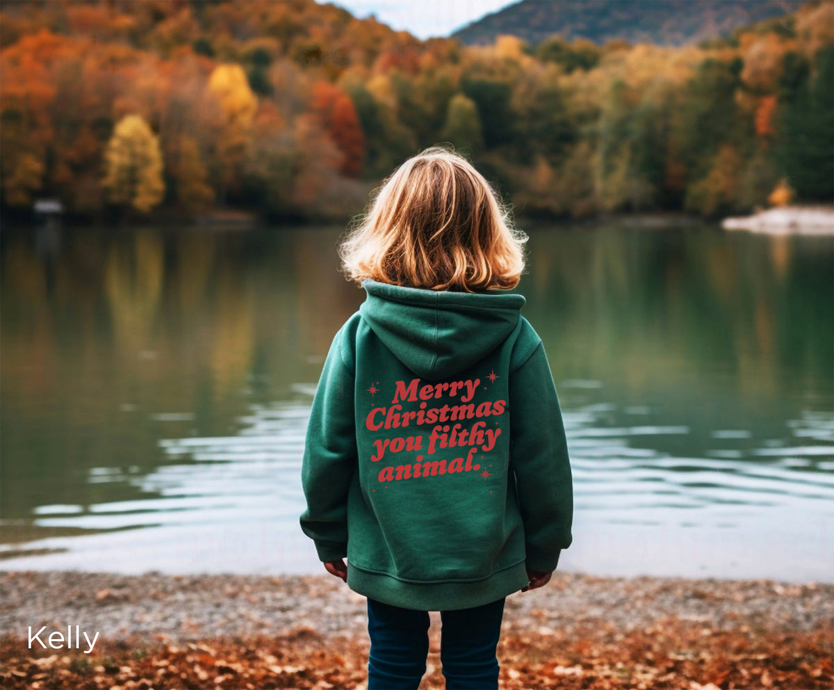Funny toddler Christmas pullover hoodie available in Black, Vintage Red, Kelly Green, Pink, Navy and White.